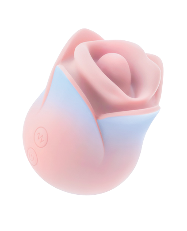 Blush - Kissing Rose