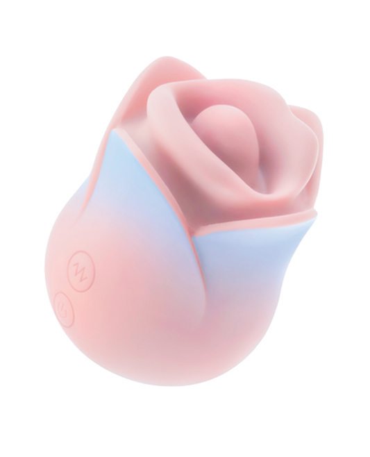 Blush - Kissing Rose